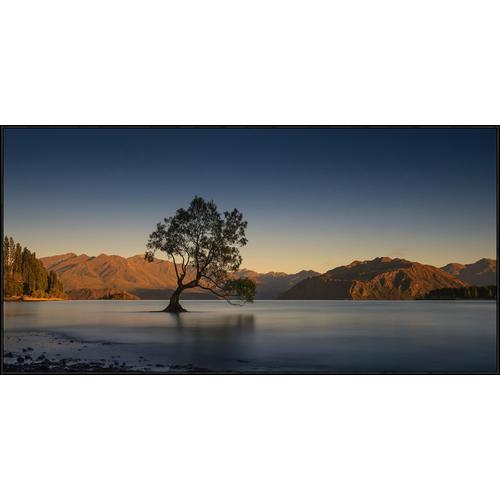 image of Willowing in Wanaka